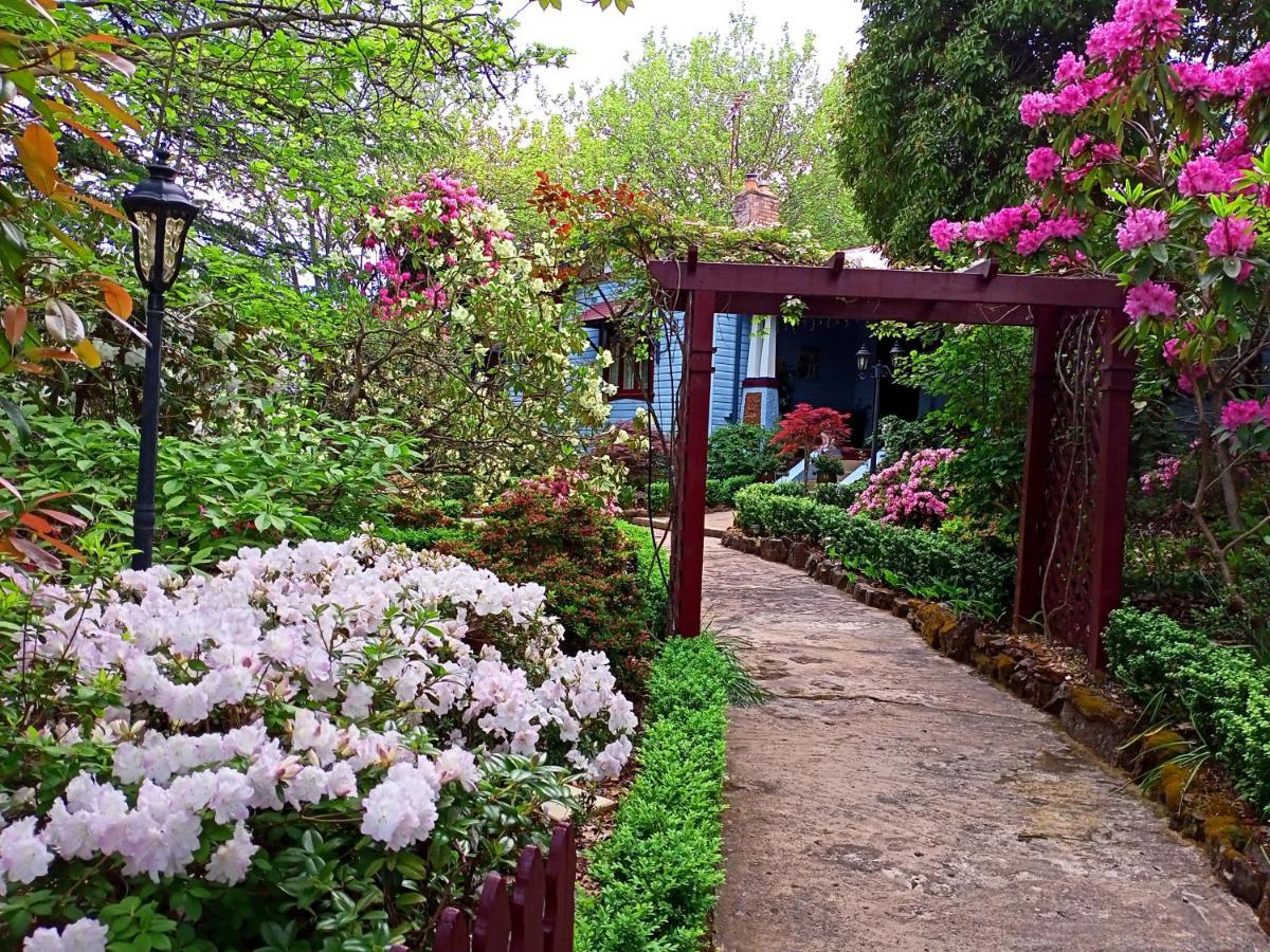 Kubba Roonga Guesthouse - Luxury Spa Retreat Blackheath Bagian luar foto