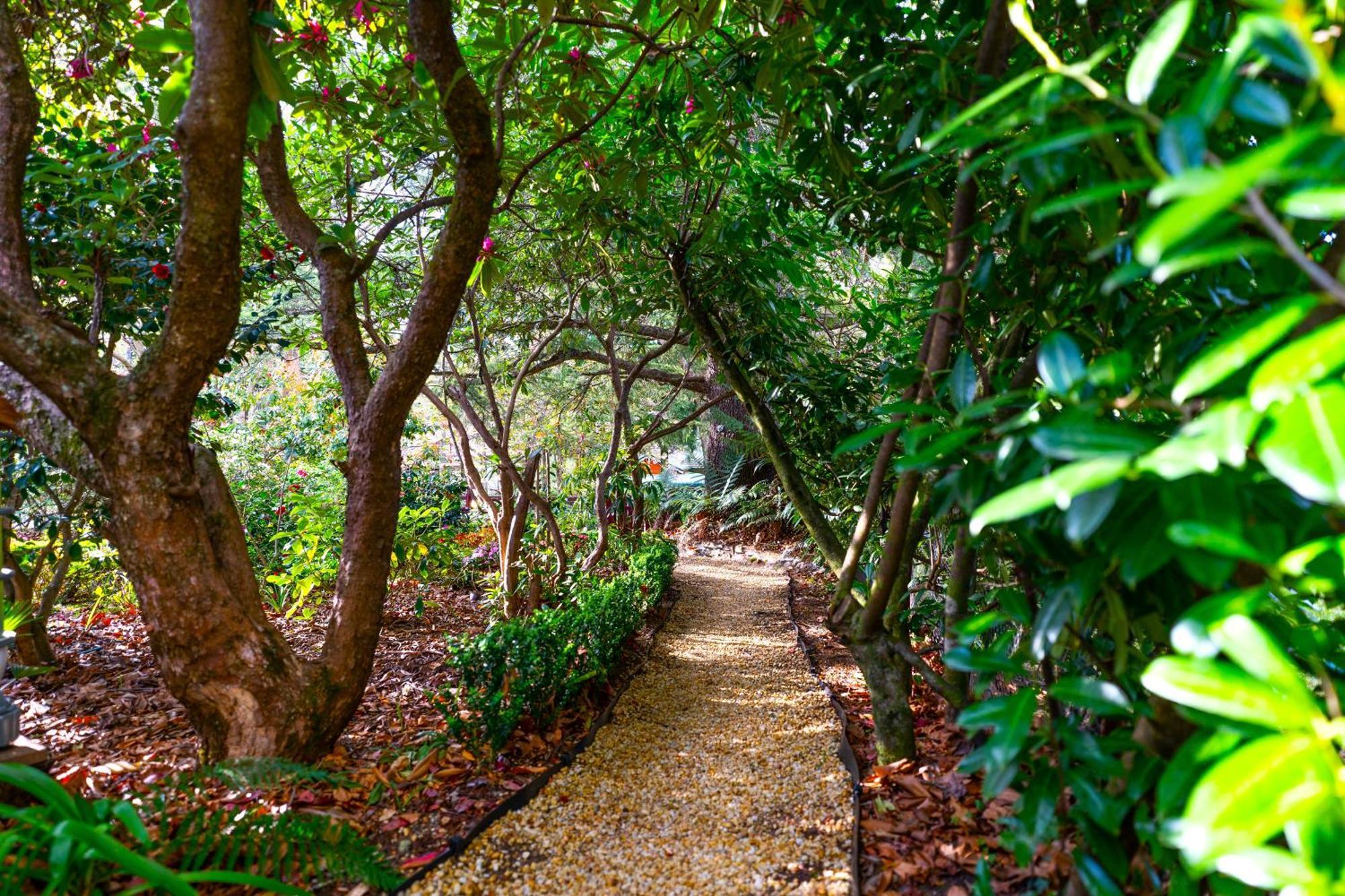 Kubba Roonga Guesthouse - Luxury Spa Retreat Blackheath Bagian luar foto