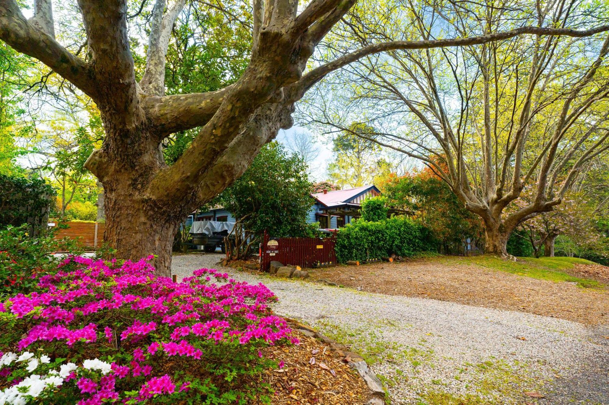Kubba Roonga Guesthouse - Luxury Spa Retreat Blackheath Bagian luar foto